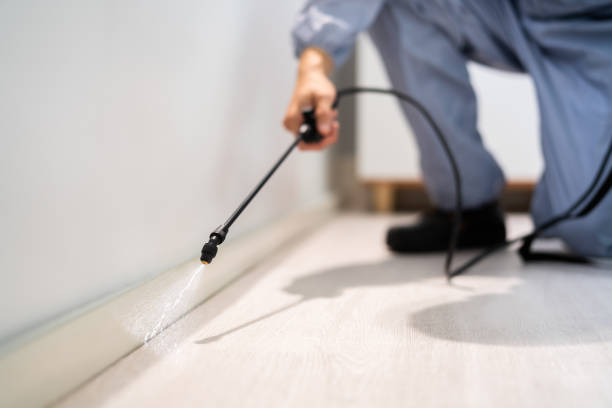 Licensed Termite Control service in Lake Telemark, NJ - Nex Pest Control