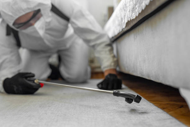 Professional Termite Control technician working in Lake Telemark, NJ