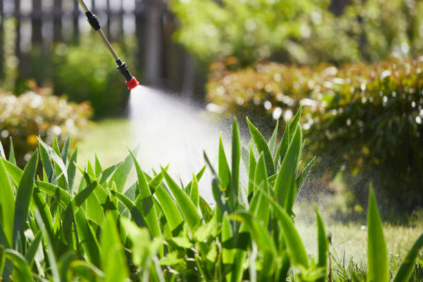 24/7 Emergency Termite Control experts in Lake Telemark, NJ